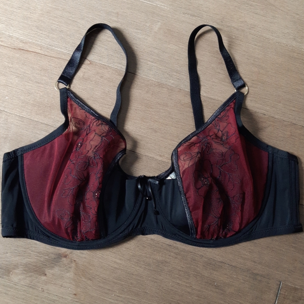 Red and Black Ashley Graham bra